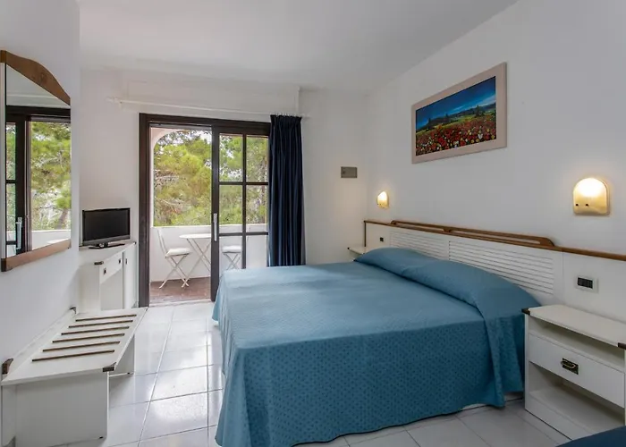 瓦莱维德酒店 3* 普罗基奥