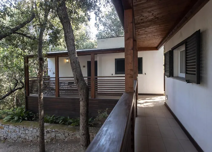 酒店 瓦莱维德酒店 普罗基奥