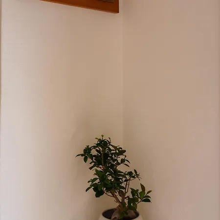Hotel Valle