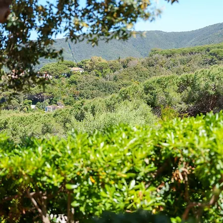 Valle Procchio (Isola d'Elba)
