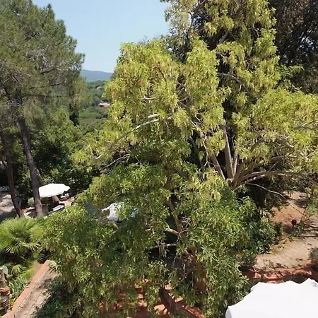 Valle Verde Procchio (Isola d'Elba)